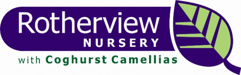 Rotherview Nursery